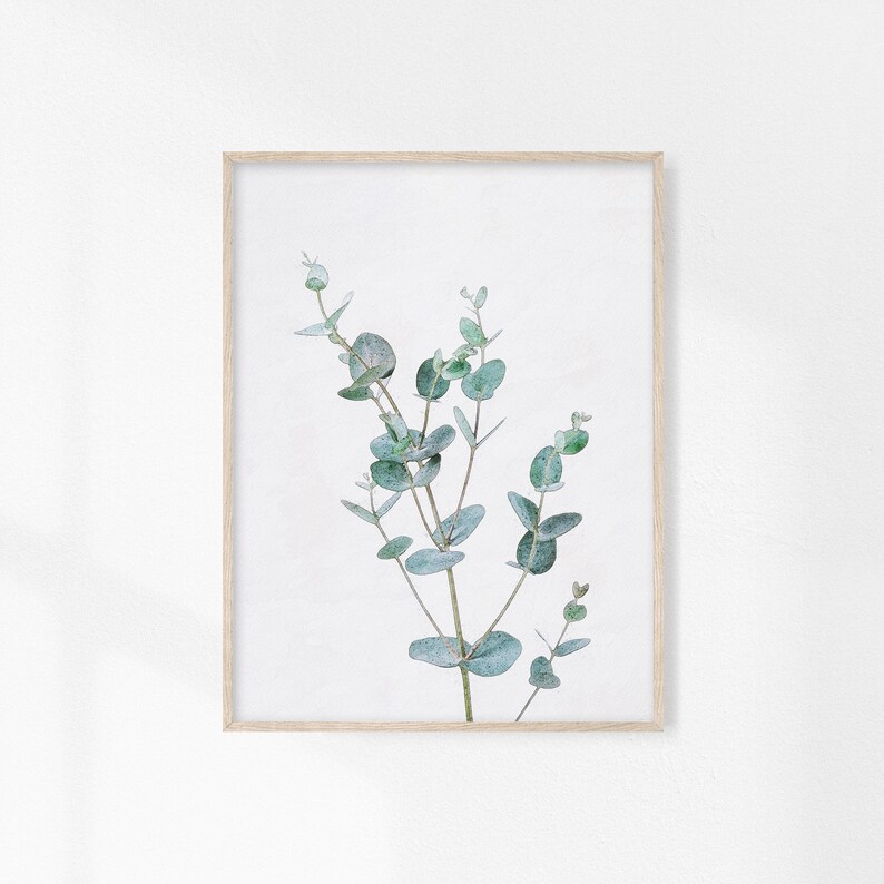 May include: A framed print of a watercolor painting of a sprig of eucalyptus leaves in shades of green against a white background.