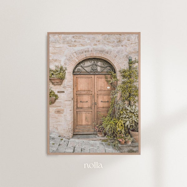 Doorway Print, Door Photography, Village House, Italian Home, Wooden Door, Garden Door, Succulent Prints Wall Art, Mediterranean Wall Art