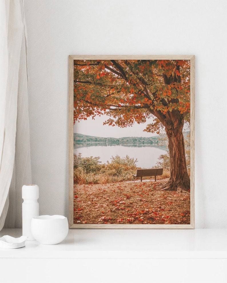 May include: A framed photograph of a lake scene with a tree with red and orange leaves in the foreground. A wooden bench sits under the tree. The lake is calm and reflects the sky.