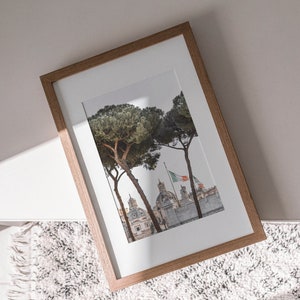 May include: A framed photograph of a cityscape with two pine trees in the foreground. The city is in the background and has several buildings with white domes. The trees are in focus and the city is out of focus. The frame is made of wood and has a light brown color.