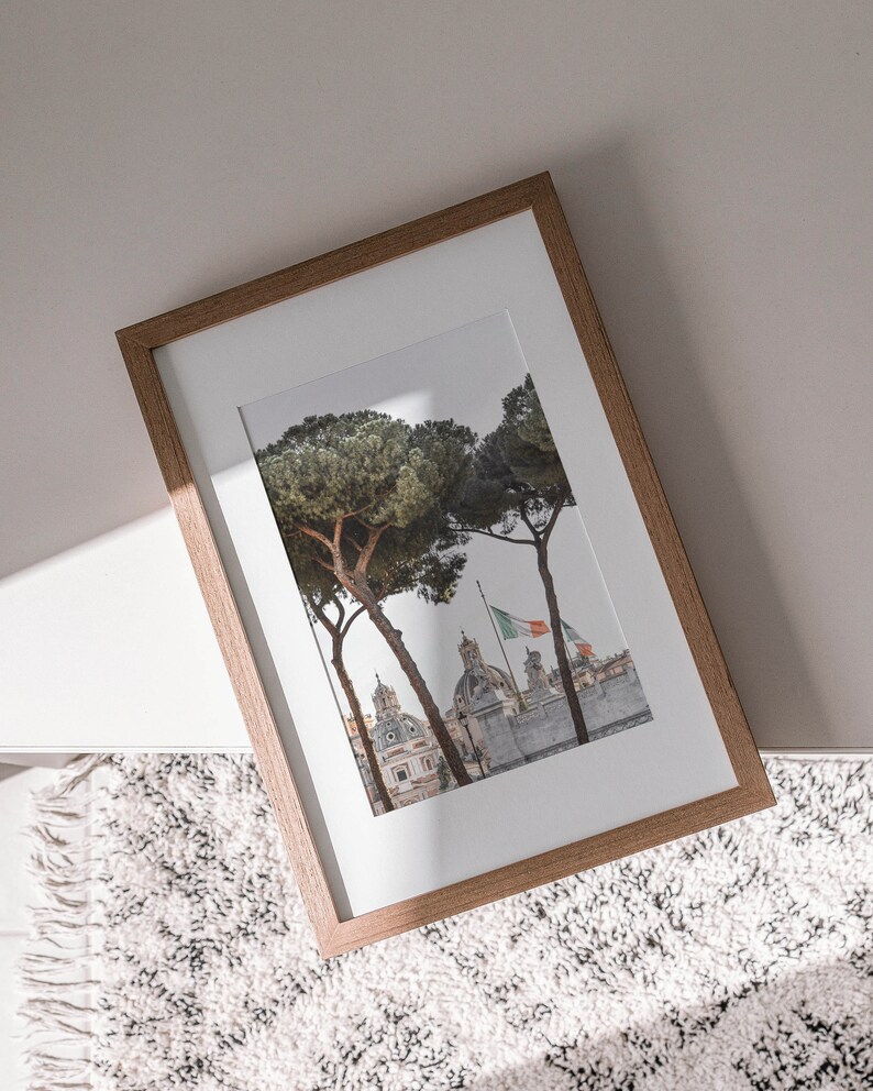 May include: A framed photograph of a cityscape with two pine trees in the foreground. The city is in the background and has several buildings with white domes. The trees are in focus and the city is out of focus. The frame is made of wood and has a light brown color.