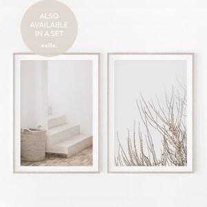 May include: Two framed prints, one with a white staircase and a woven basket, the other with a close-up of a dried plant against a white background. The text "ALSO AVAILABLE IN A SET" is visible in a circle above the prints.