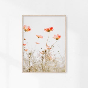 Summer Meadow, Red Wild Flowers, Farmhouse Prints, Floral Wall Decor, Botanical Print, Nature Photography, Spring Flower, Printable Wall Art