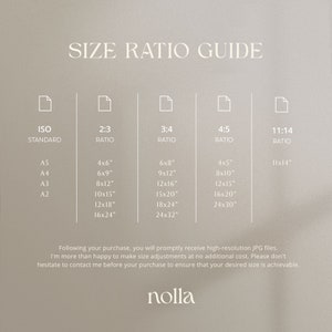 May include: A size ratio guide for digital prints, showing different standard sizes and their corresponding dimensions in inches. The guide includes ISO standard sizes, 2:3 ratio, 3:4 ratio, 4:5 ratio, and 11:14 ratio.
