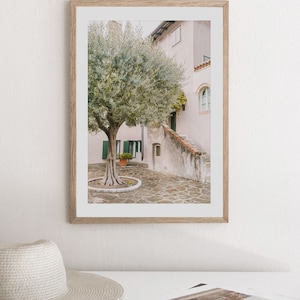 May include: A framed photograph of a courtyard in a European city. The courtyard features a large olive tree in the center, with a stone path leading to a building with a pink facade. The building has a green door and windows.