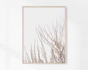 May include: A framed print of a minimalist botanical illustration featuring delicate, dried branches against a white background.
