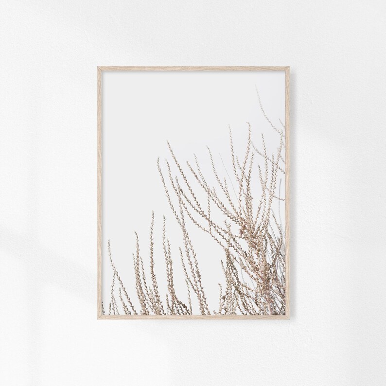 May include: A framed print of a minimalist botanical illustration featuring delicate, dried branches against a white background.