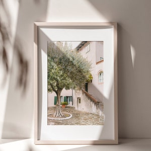 May include: A framed photograph of a courtyard with a large olive tree in the center. The courtyard is paved with stone and the buildings surrounding it are painted in shades of white and pink.