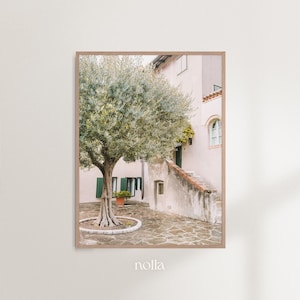 May include: A photograph of a white building with a green olive tree in the courtyard. The building has a stone staircase leading up to the entrance. The tree is in a circular planter.