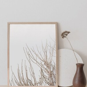 May include: A framed print of a minimalist botanical illustration featuring delicate brown branches against a white background. The print is displayed on a light beige surface with a round white coaster and a brown vase.