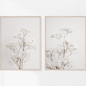Baby's Breath Print, Set of 2, Gypsophila Elegans, Botanical Wall Art, Wildflowers Poster, Flower Printable, Decoración de vivero, Modern Organic