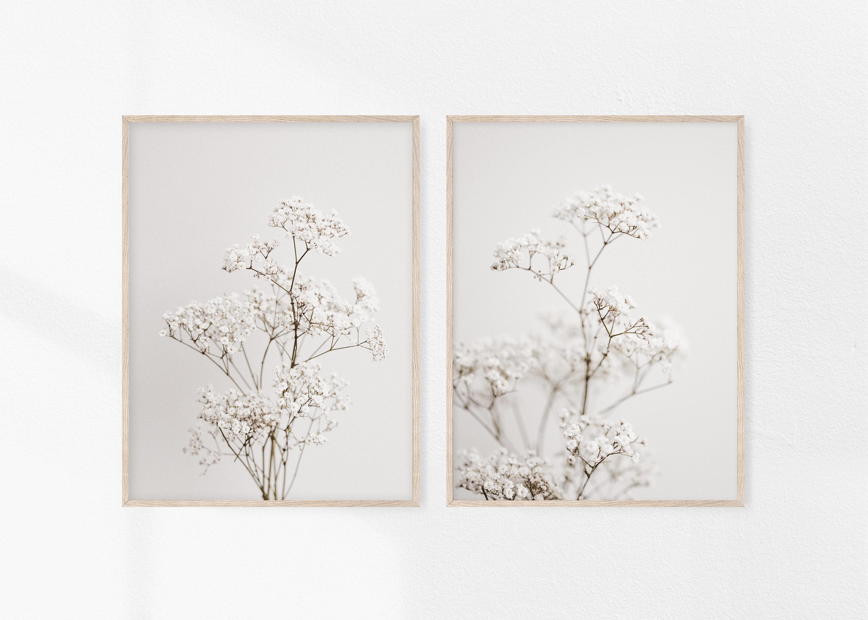 Gypsophila Art Print - Etsy UK 