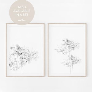 May include: Two framed black and white prints of delicate flower arrangements. The prints are in simple wooden frames and are hung on a white wall. The text "ALSO AVAILABLE IN A SET noila." is visible in a circle at the top of the image.