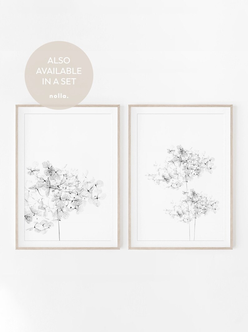 May include: Two framed black and white prints of delicate flower arrangements. The prints are in simple wooden frames and are hung on a white wall. The text "ALSO AVAILABLE IN A SET noila." is visible in a circle at the top of the image.