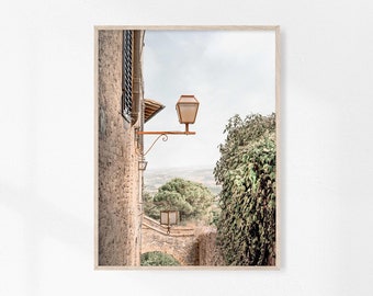 May include: A vintage-style street lamp with a brown metal frame and a clear glass shade hangs from a brick wall. The lamp is mounted on a wrought iron bracket. Lush green foliage is visible in the background.