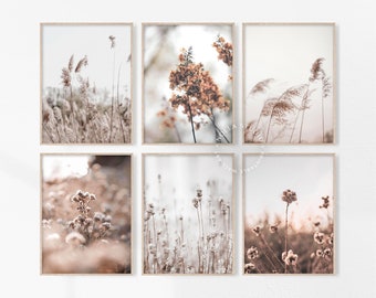 Juego de 6 cuadros de pared de estilo rústico: impresiones botánicas de hierba de la pampa y flores silvestres, decoración imprimible en tonos neutros.