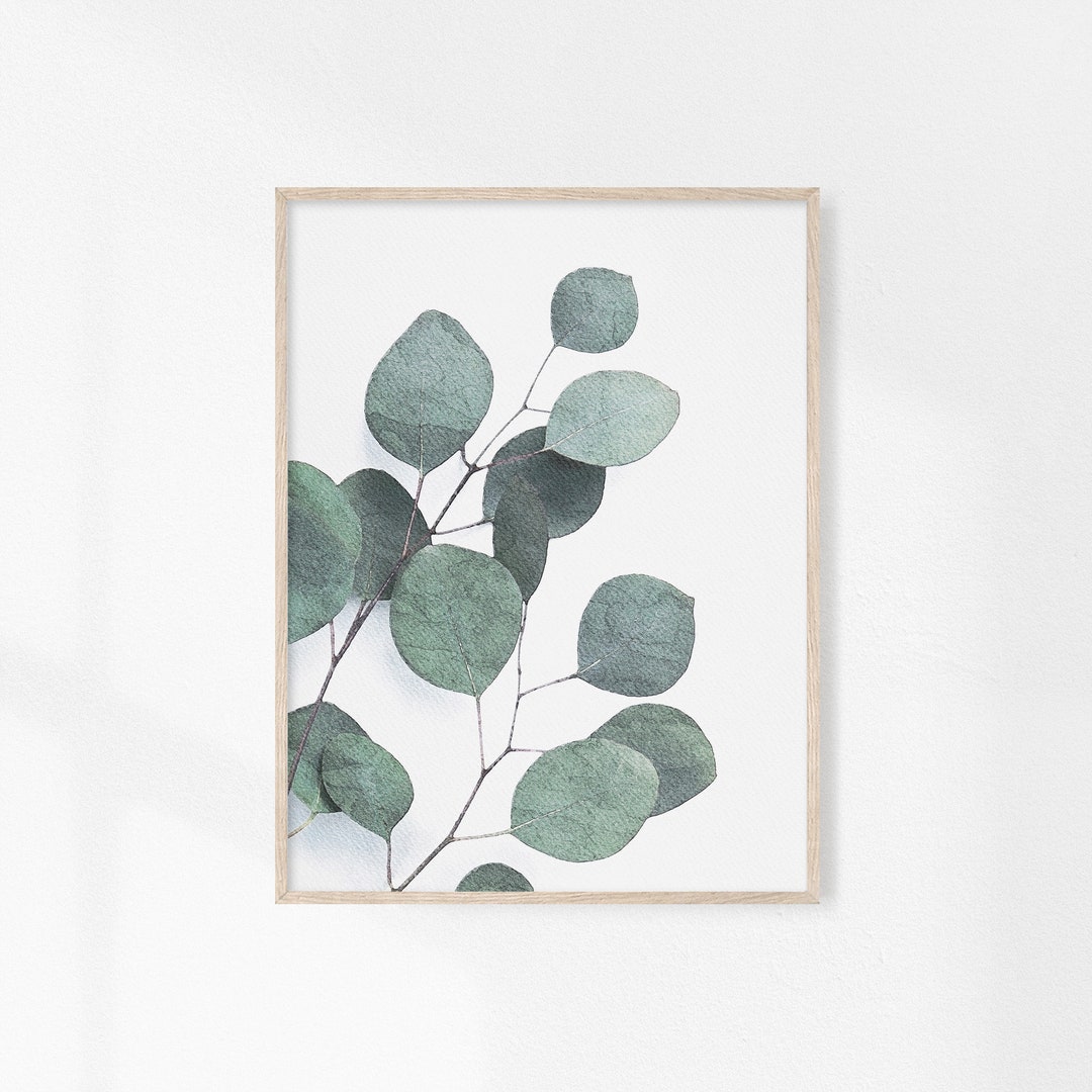 Eucalyptus Drawing Print Botanical Wall Decor Leaf Print - Etsy