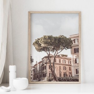 May include: A framed photograph of a street scene in Rome, Italy. The photo features a large pine tree in the foreground, with a row of buildings behind it. The buildings are painted in a warm, peachy color, and the sky is a soft blue.