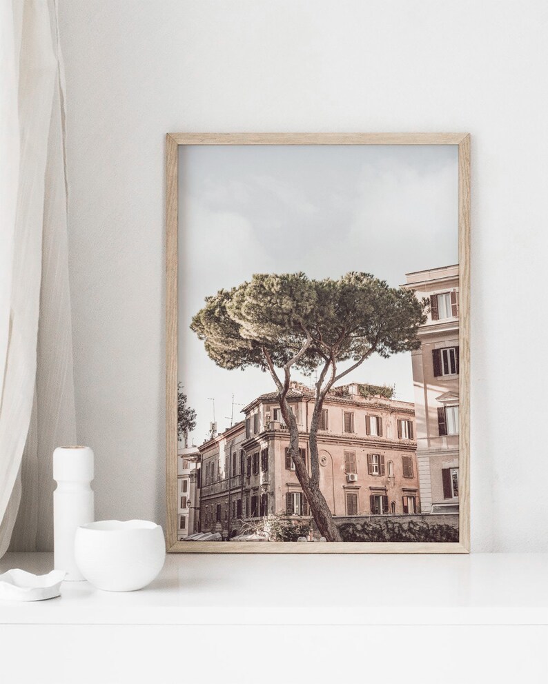 May include: A framed photograph of a street scene in Rome, Italy. The photo features a large pine tree in the foreground, with a row of buildings behind it. The buildings are painted in a warm, peachy color, and the sky is a soft blue.