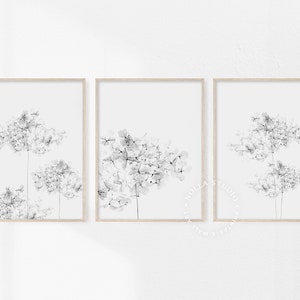 Hydrangea, Set of 3, Floral Art Print, Flower, Hygge, Botanical Art, Hydrangea Plant, Minimalist, Black and White, Botanical Wall Art,Prints