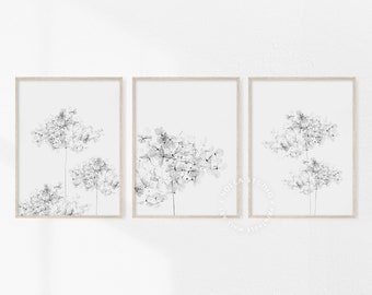 Hydrangea, Set of 3, Floral Art Print, Flower, Hygge, Botanical Art, Hydrangea Plant, Minimalist, Black and White, Botanical Wall Art,Prints