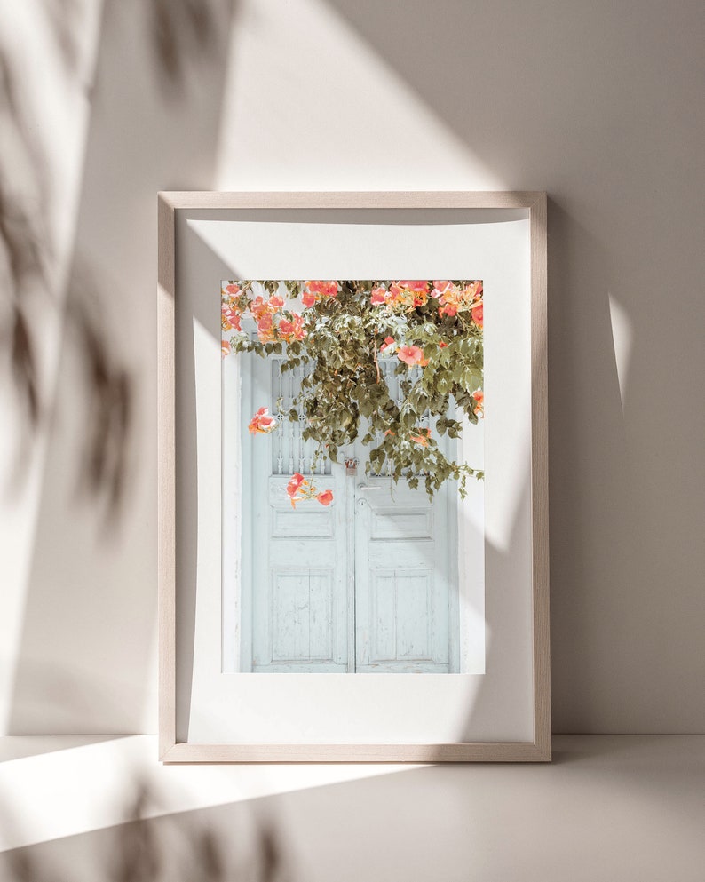 May include: A framed photograph of a white wooden door with pink flowers growing over it. The door is double-doored and has a simple design.