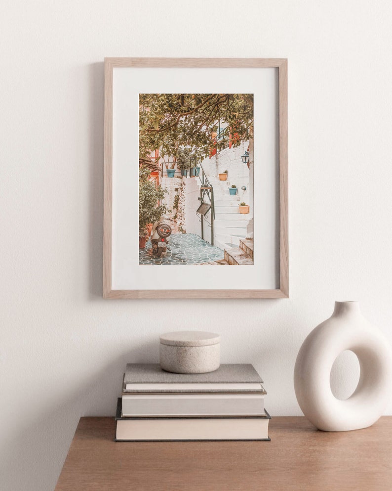 May include: A framed photograph of a narrow, white-washed alleyway with a stone staircase leading up to a building. The alleyway is shaded by a leafy tree and there are potted plants along the walls.