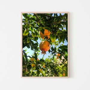 Pomegranate World Digital Print | Pomegranate Tree Wall Art Print | Boho Wall Art