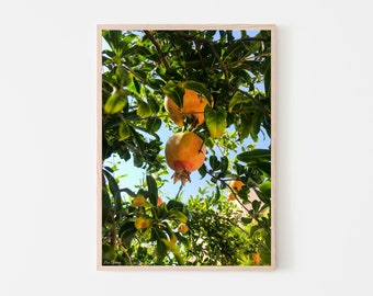 Pomegranate World Digital Print | Pomegranate Tree Wall Art Print | Boho Wall Art
