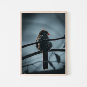 Female Cardinal Bird Watch Print | Digital Download Bird Wall Art