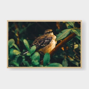 Bird Watching Print | Digital Download Bird On A Branch | Wildlife Photography | Nature Photography Wall Art
