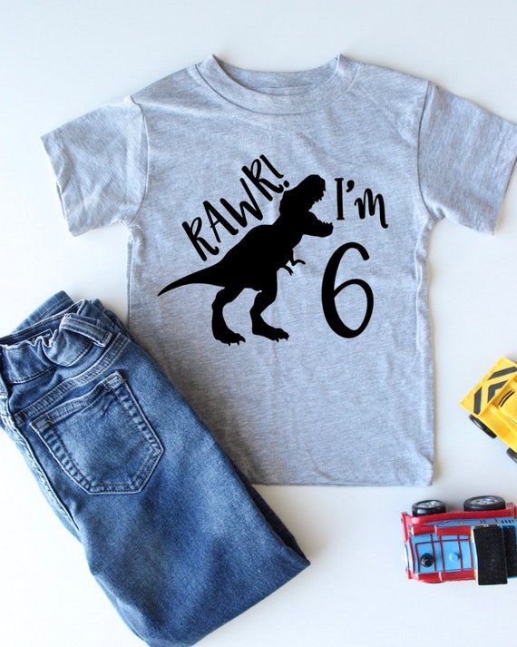 Rawr I'm 6 6th Sixth Birthday Dinosaur 