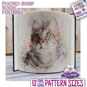 May include: A watercolour painting of a cat's face is displayed on a book folded into a 3D sculpture. The book is titled "Pampered Books" and the text "12 Edge Pattern Sizes" is visible below the sculpture.