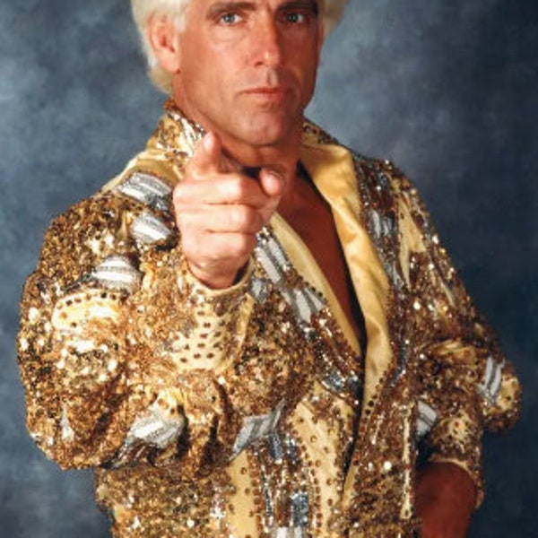 The 8th ric flair set 10/5/91 to 1/24/93