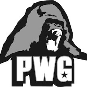 history of pwg 7/26/03 to 7/26/04 20 shows