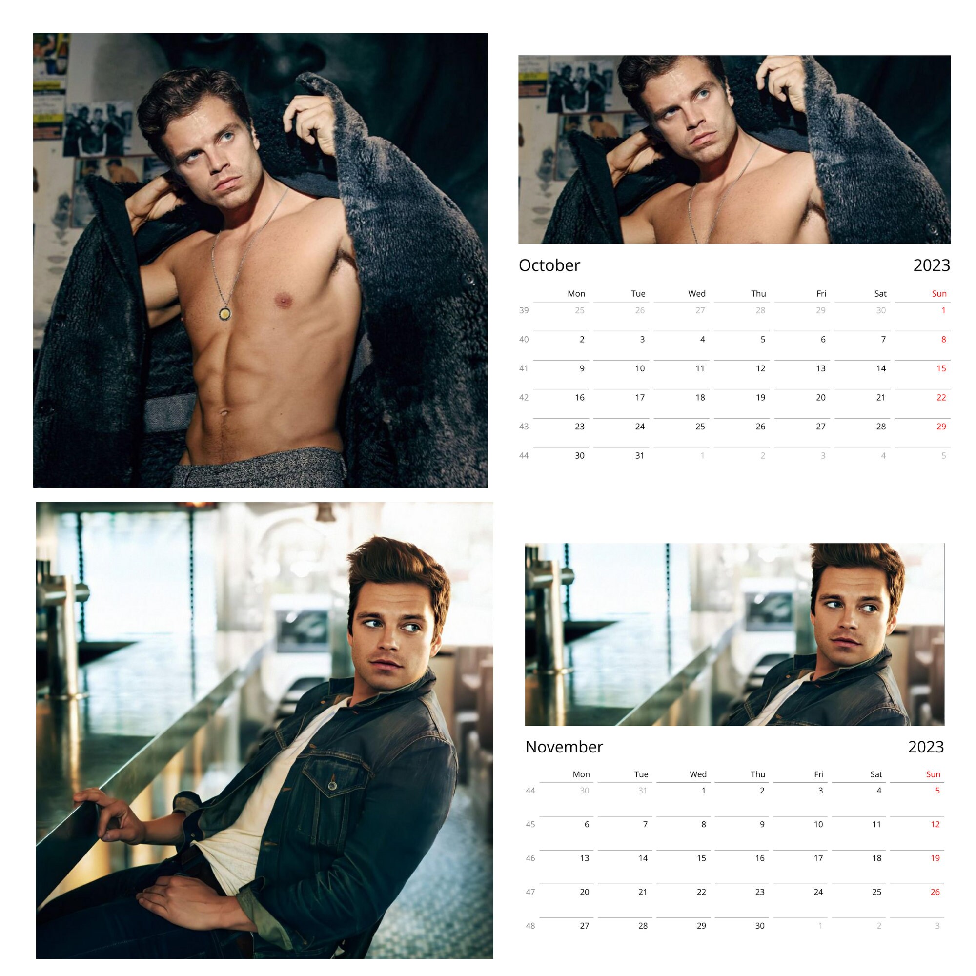 2023 Sebastian Stan Wall Calendars Personalized Gift for Etsy