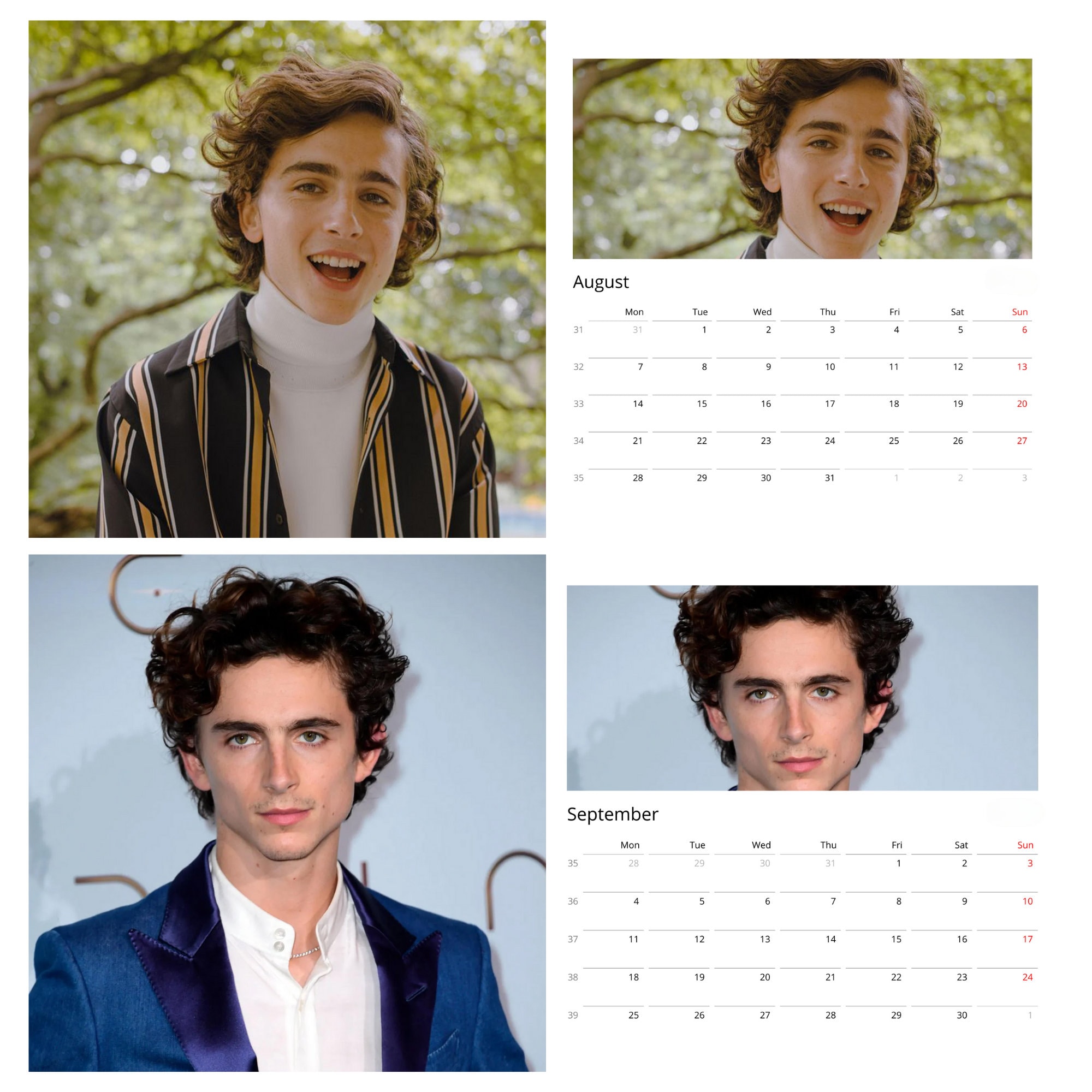 2024 Timothee Chalamet Calendar Personalized Calendar Wall Etsy