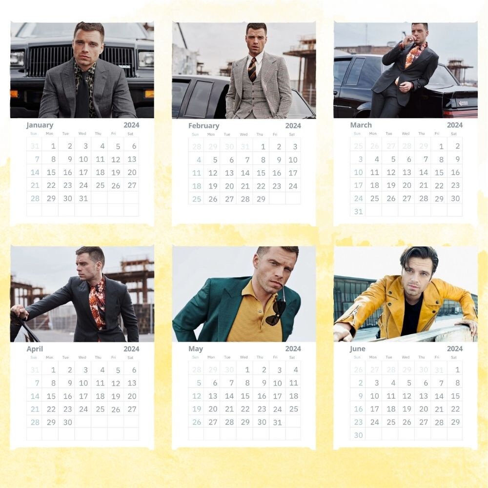 Sebastian Stan Calendar 2024 Wall Calendar Gift for Her sold by