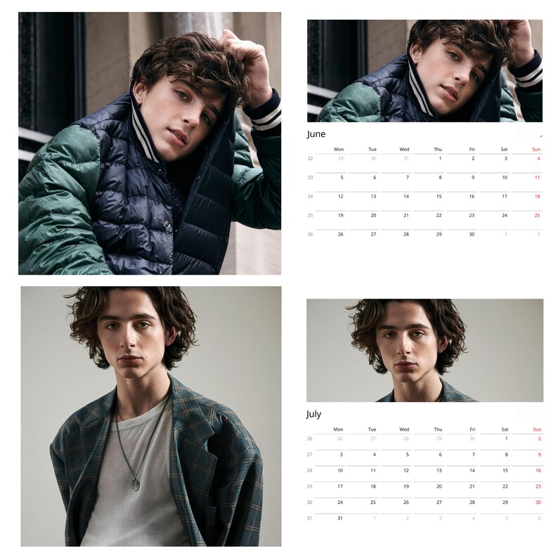 2024 Timothee Chalamet Calendar Personalized Calendar Wall Etsy