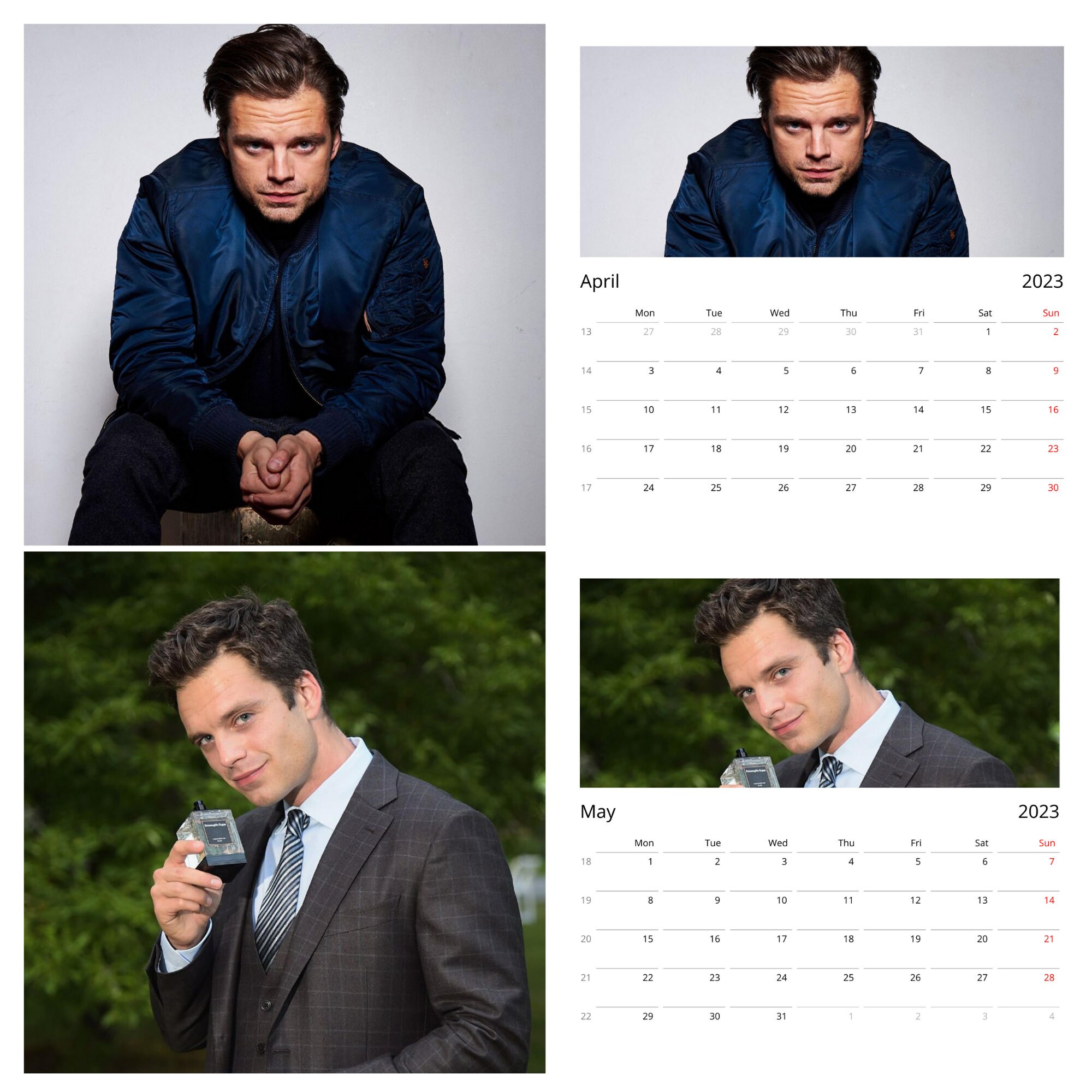 2023 Sebastian Stan Wall Calendars Personalized Gift for Etsy