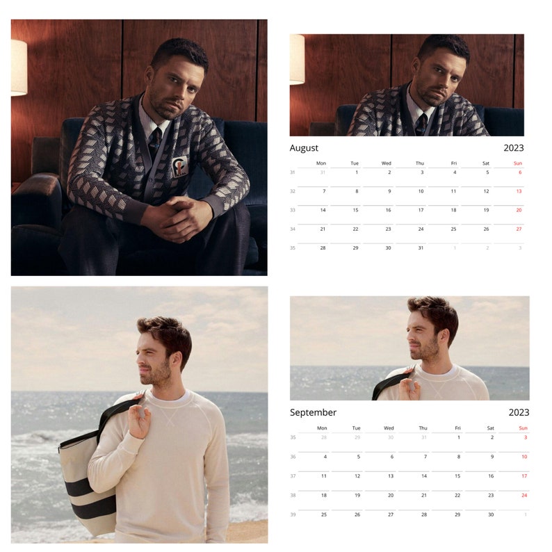 2023 Sebastian Stan Wall Calendars Personalized Gift for Etsy