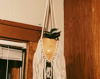 Plant Hanger