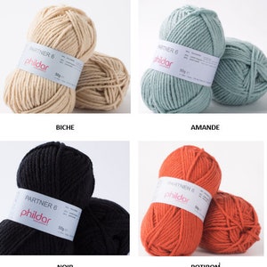 May include: Four balls of yarn in different colors: beige, light blue, black, and orange. Each ball has a label that says "Partner 6" and "Phildar" with a weight of 50g.