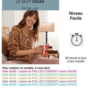 May include: A woman wearing a brown and beige knitted vest with a brown and white pattern. The vest is called "Le Gilet Cesar" and has the product code "FK T23-577". The image also includes the text "Niveau Facile" and "30 heures et plus &agrave; titre indicatif".