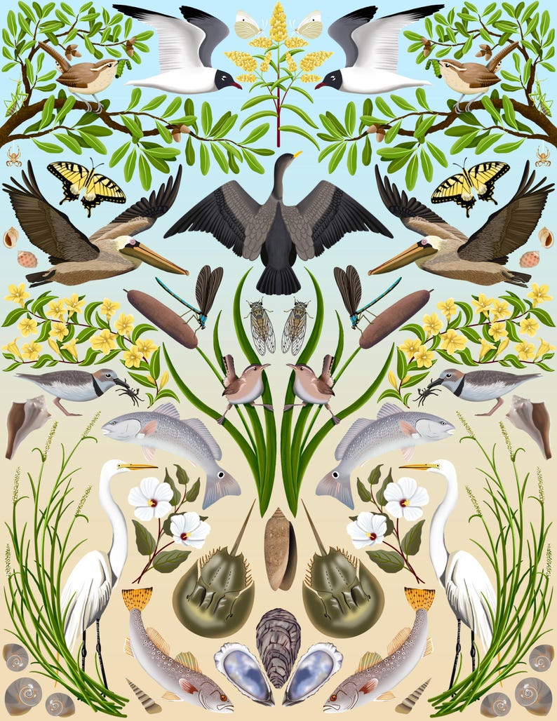 May include: A symmetrical digital illustration featuring coastal wildlife including white egrets, pelicans, fish, horseshoe crabs, butterflies, and dragonflies arranged among green marsh grasses, yellow flowers, and various seashells on a light background.