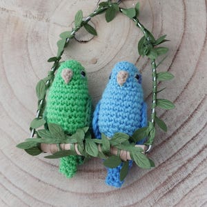 Parrotlets on a swing.