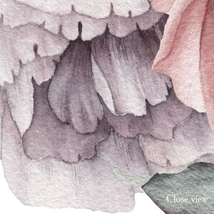 Watercolor Peony Wallpaper on White Background. Peonies Wall Mural Girl Room Decor. Purple Peony Flowers Wallpaper Nursery. Floral Wallpaper image 5