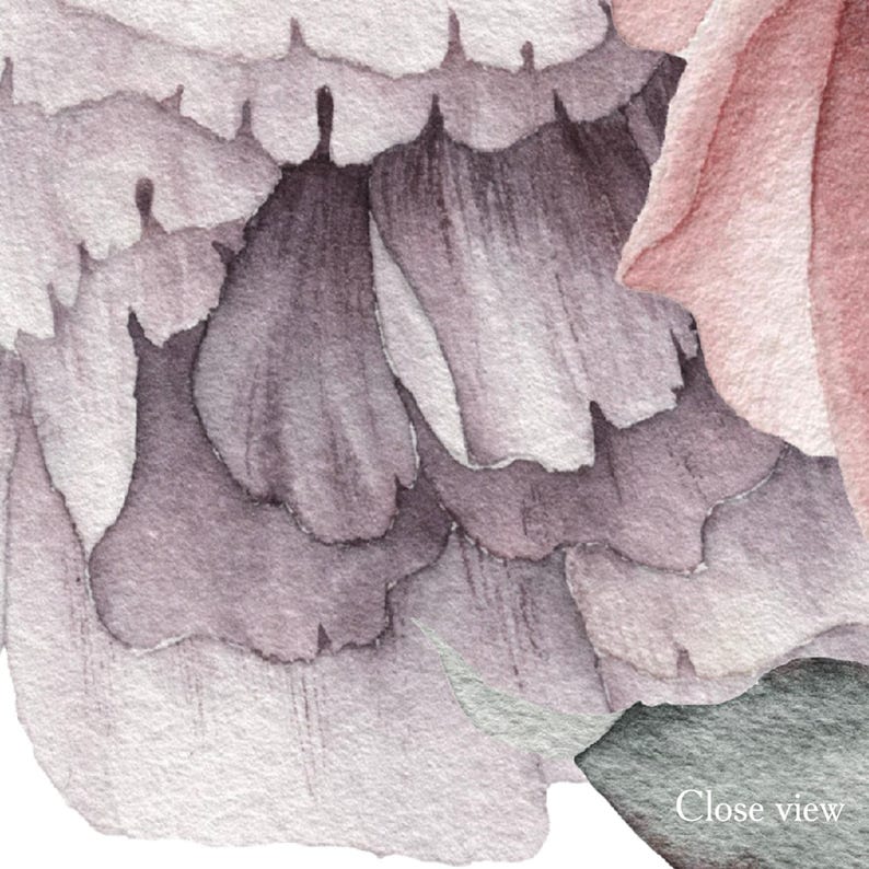 Watercolor Peony Wallpaper on White Background. Peonies Wall Mural Girl Room Decor. Purple Peony Flowers Wallpaper Nursery. Floral Wallpaper image 5