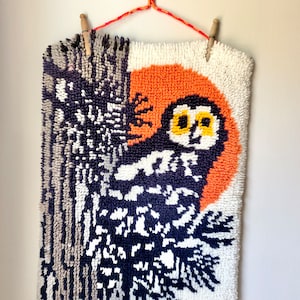 Owl On Branch Latch Hook Pillow Crocheting Knitting Kit