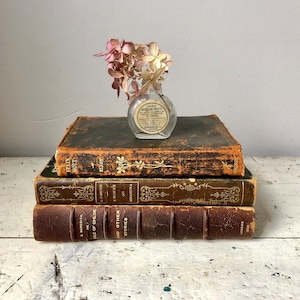 Three antique books; George Meredith, George Eliot, and Claude Farrére